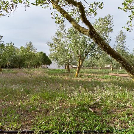 Agroturismo Malbuger Nou Menorca -Adults Only- Маон Экстерьер фото