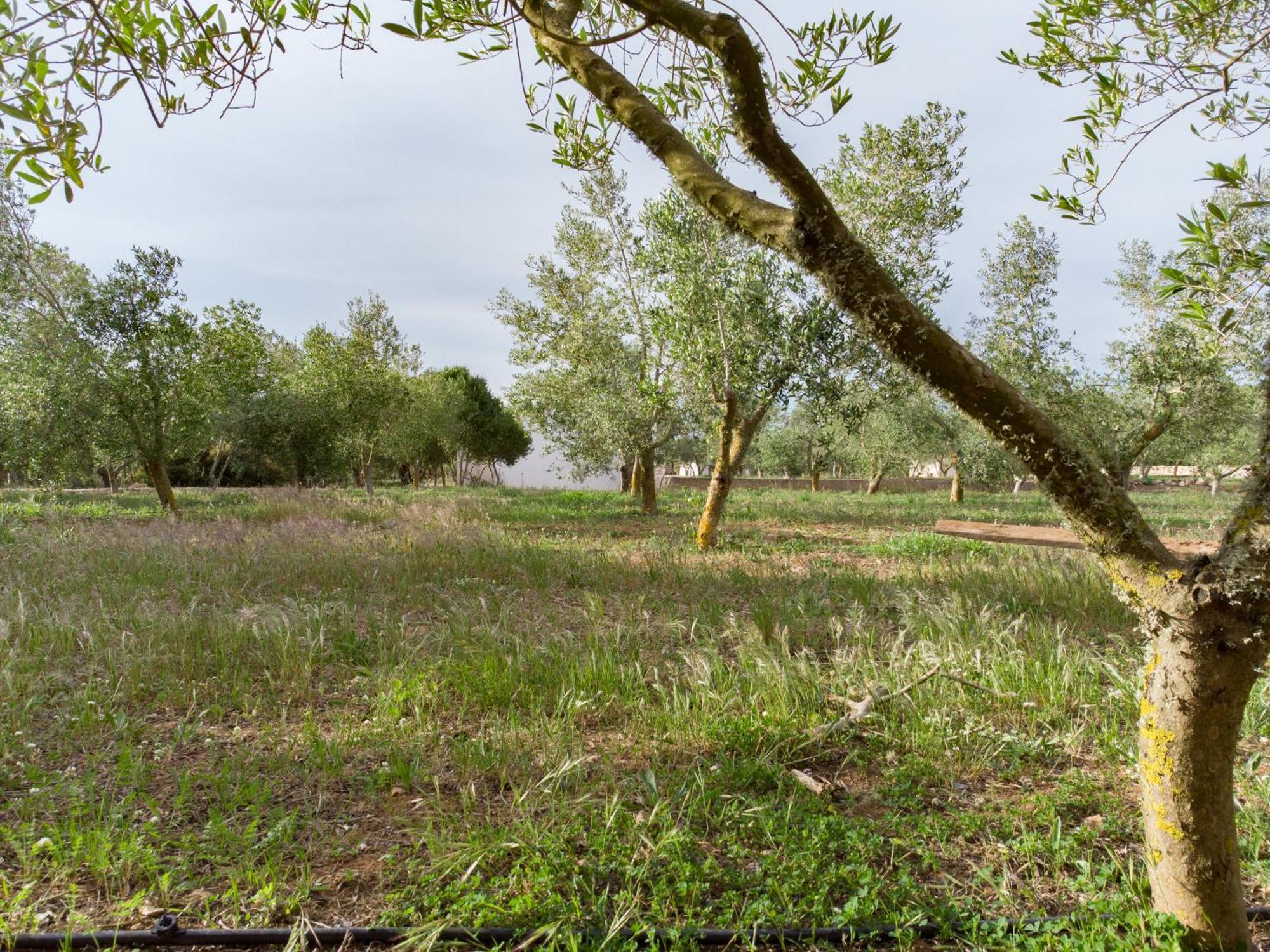 Agroturismo Malbuger Nou Menorca -Adults Only- Маон Экстерьер фото